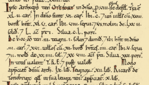 Otford record in the Domesday book. Credit: Professor John Palmer, George Slater and opendomesday.org