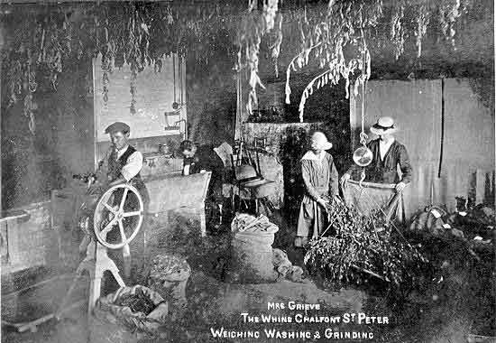 Maud Grieve and her employees in her herb drying shed, © Buckinghamshire Council