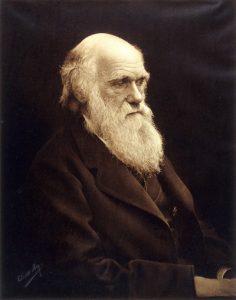 Portrait photograph of Charles Darwin
