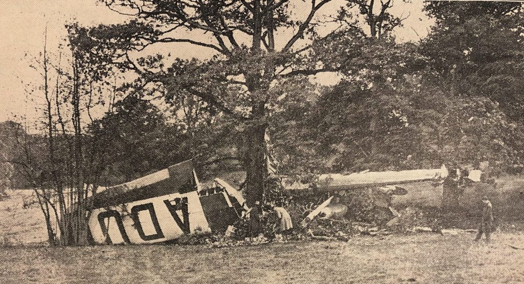 Plane crashed on the ground by trees