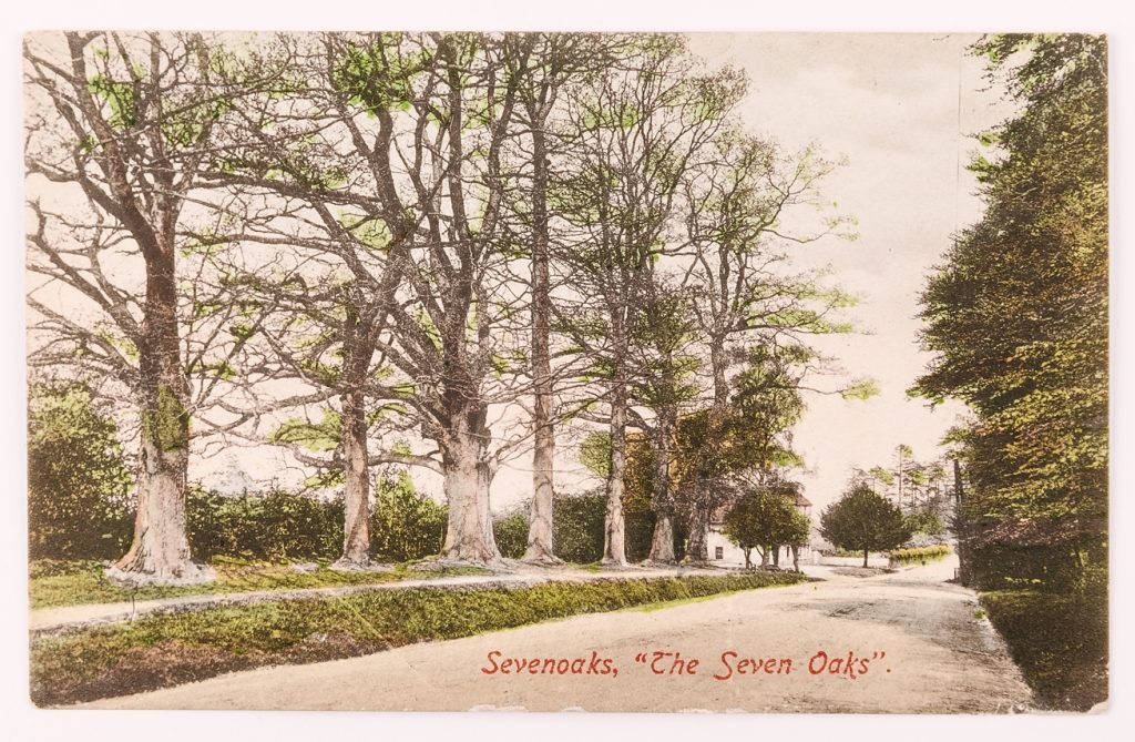 Illustrated colour postcard of the Seven Oaks, published by Salmon, © Kent County Council Sevenoaks Museum