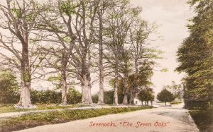 Illustrated colour postcard of the Seven Oaks, published by Salmon, © Kent County Council Sevenoaks Museum