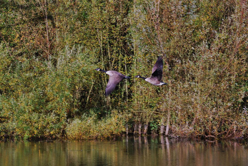 Sevenoaks Wildlife Reserve