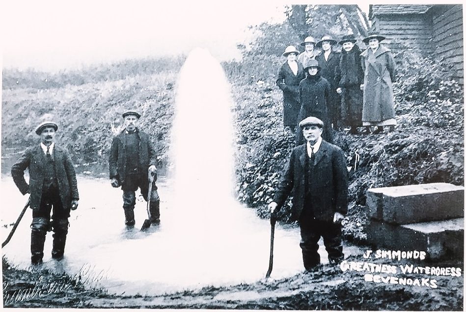 Photograph postcard of workers standing in and beside watercress steam