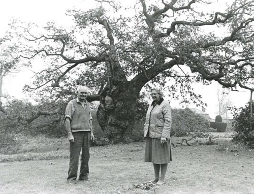 Not all bad news: Mr and Mrs Frank May in Stonewall Park with a 1000-year-old oak tree which survived the storm, © Eden Valley Museum Trust